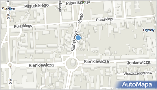 8212420107, Lodziarnia Borówka Marzena Hertman 