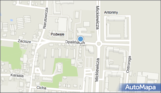 Logopeda Leszno, Opalińskich 3, Leszno 64-100 - Przedsiębiorstwo, Firma, NIP: 6971509152