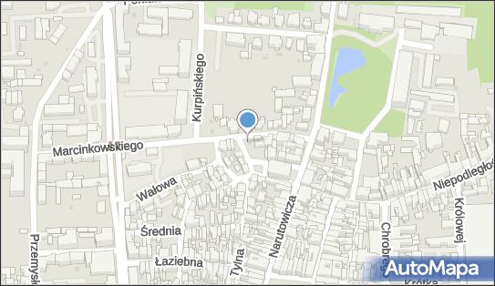 Lokal Gastronomiczny Koko Chicken, Marcinkowskiego Karola 15 64-100 - Przedsiębiorstwo, Firma, NIP: 6971927777