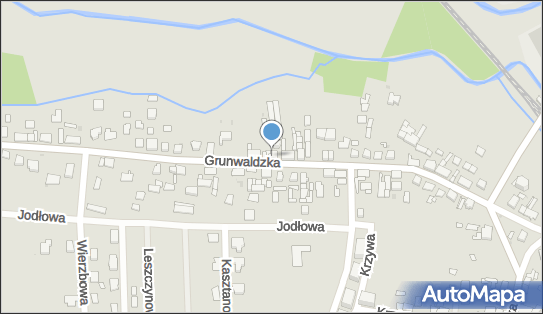 Łopusiewicz Aleksandra, Grunwaldzka 36, Namysłów 46-100 - Przedsiębiorstwo, Firma, numer telefonu, NIP: 7521393721