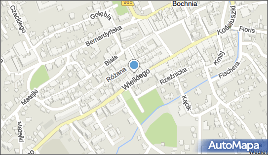 Lucky Luke, ul. Kazimierza Wielkiego 11, Bochnia 32-700 - Przedsiębiorstwo, Firma, NIP: 8731064728