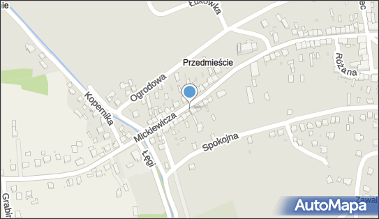 Lucyna Pasierb, ul. Adama Mickiewicza 46, Zakliczyn 32-840 - Przedsiębiorstwo, Firma, NIP: 6762390497