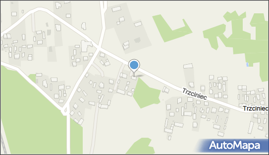 Ludowy Klub Sportowy Trzciniec, Trzciniec 79A, Trzciniec 21-100 - Przedsiębiorstwo, Firma, numer telefonu, NIP: 7142043431