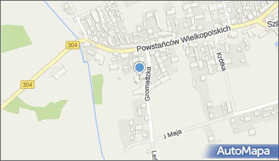 Ludowy Zespół Sportowy Polonia, Gromadzka 3, Nowe Kramsko 66-111 - Przedsiębiorstwo, Firma, NIP: 9731015179