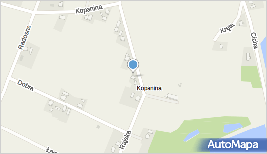 Ludwika Hernik - Działalność Gospodarcza, Rajska 10, Pruchna 43-523 - Przedsiębiorstwo, Firma, NIP: 5481196030