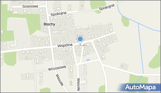 Łukasz Bloch Luk-Trans, Blochy 26A, Blochy 07-210 - Przedsiębiorstwo, Firma, NIP: 7621873194