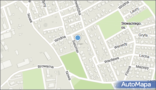 Łukasz Kopaczel, Salomei 24, Zielona Góra 65-831 - Przedsiębiorstwo, Firma, NIP: 9251937358