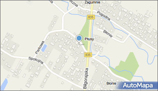 Łukasz Odrzywolski, Płusy 86, Płusy 23-415 - Przedsiębiorstwo, Firma, NIP: 9182129677