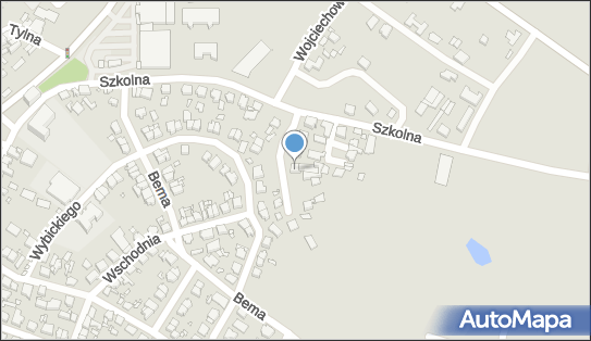 Łukasz Paziewski Stolarstwo Łukasz Paziewski, Śrem 63-100 - Przedsiębiorstwo, Firma, NIP: 7851751158