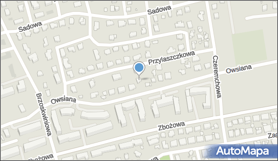 Łukasz Pieczuła Soulex, Owsiana 37, Toruń 87-100 - Przedsiębiorstwo, Firma, NIP: 9562145671