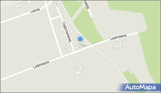 Łukasz Skiba, ul. Leśmiana 5, Mosina 62-050 - Przedsiębiorstwo, Firma, NIP: 7772806758