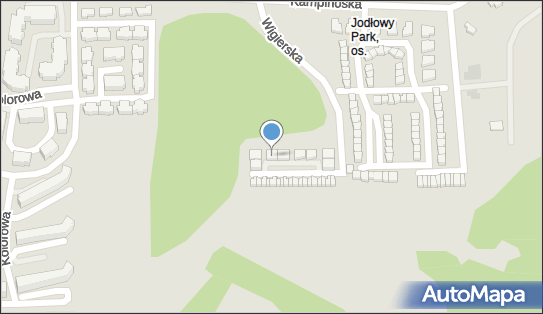 Łukasz Witek - Działalność Gospodarcza, ul. Wigierska 40 80-180 - Przedsiębiorstwo, Firma, NIP: 5832629521