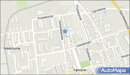 Łukasz Żelechowski - Działalność Gospodarcza, Dominikańska 8 99-100 - Przedsiębiorstwo, Firma, NIP: 7752130884