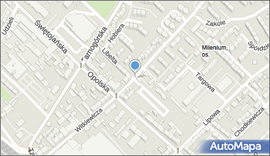 Lumino, Witkiewicza 16, Gliwice 44-100 - Przedsiębiorstwo, Firma, numer telefonu, NIP: 6311330412