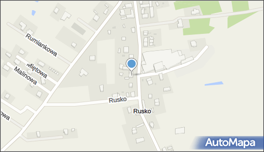 Lyng, Rusko 18 A, Rusko 76-150 - Przedsiębiorstwo, Firma, NIP: 5862271567