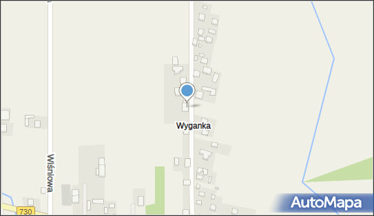 Lynx Karolina Trzaska, Jasieniecka 9A, Jasieniec 05-604 - Przedsiębiorstwo, Firma, NIP: 1230996831