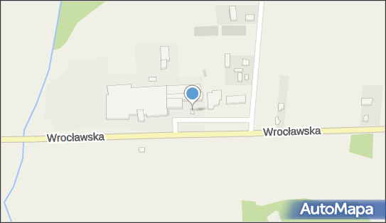 M.S.Meat Service, Prusak 23, Prusak 98-420 - Przedsiębiorstwo, Firma, numer telefonu, NIP: 9970148185