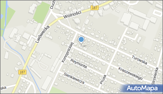 Magdalena Elikowska, ul. Józefa Ignacego Kraszewskiego 3, Pniewy 62-045 - Przedsiębiorstwo, Firma, NIP: 7871716395