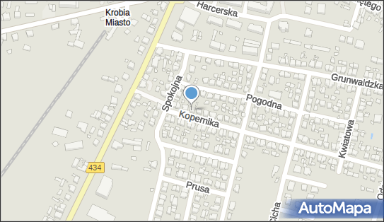 Magdalena Nowacka Fabryka Marzeń, ul. Mikołaja Kopernika 3 63-840 - Przedsiębiorstwo, Firma, NIP: 6961868062