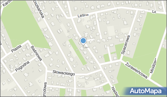 1181866116, Magdalena Jarosz 