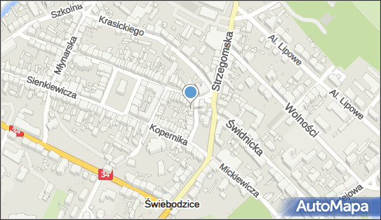 Magdalena Wyzińska, Plac Jana Pawła II 8, Świebodzice 58-160 - Przedsiębiorstwo, Firma, NIP: 8842382006