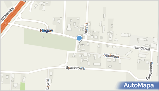 Magnolia, Handlowa 29, Niegów 07-230 - Przedsiębiorstwo, Firma, NIP: 7621036624