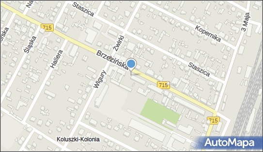 Mała Gastronomia Sudelik Polak Krystyna, ul. Brzezińska 26 97-140 - Przedsiębiorstwo, Firma, NIP: 7681308227