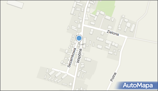 Malarstwo Piotr Lipiecki, Zelgniewo 8, Zelgniewo 64-812 - Przedsiębiorstwo, Firma, NIP: 7641156283