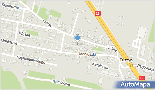 Malarstwo, ul. Wąska 4 A, Tuszyn 97-315 - Przedsiębiorstwo, Firma, NIP: 7282406796