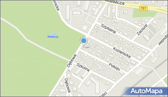 Malec Janusz, Pokoju 18, Pionki 26-670 - Przedsiębiorstwo, Firma, NIP: 8121177983