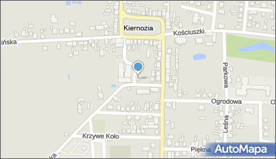 Malesa, Sobocka 2a, Kiernozia 99-412 - Przedsiębiorstwo, Firma, NIP: 8361666227