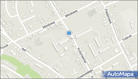 Małgorzata Panasiuk - Działalność Gospodarcza, Kosynierów 45 66-620 - Przedsiębiorstwo, Firma, NIP: 9261219191