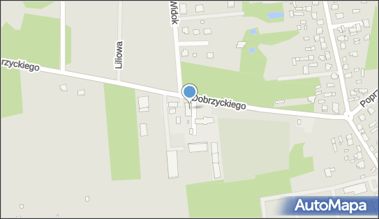 8221556496, Bar Pizzeria pod Trójką Mariola Majewska-Czerwonka 