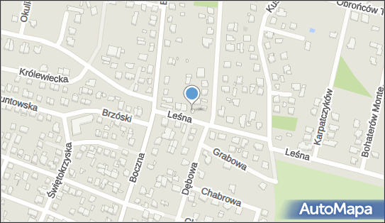 8221014832, Malowanie Szyldów i Reklam, Oprawa Obrazów Małgorzata Lazarowicz 