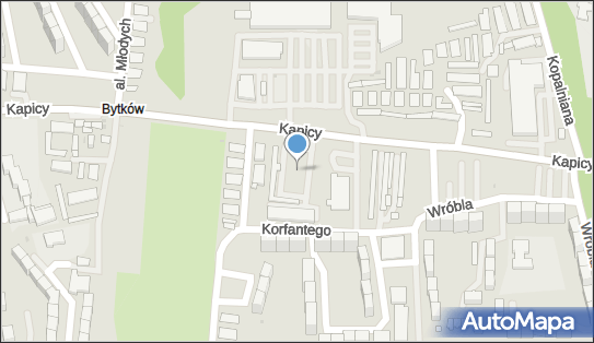 Mam Cargo, ul. ks. Jana Kapicy 9, Siemianowice Śląskie 41-100 - Przedsiębiorstwo, Firma, numer telefonu, NIP: 6272732625