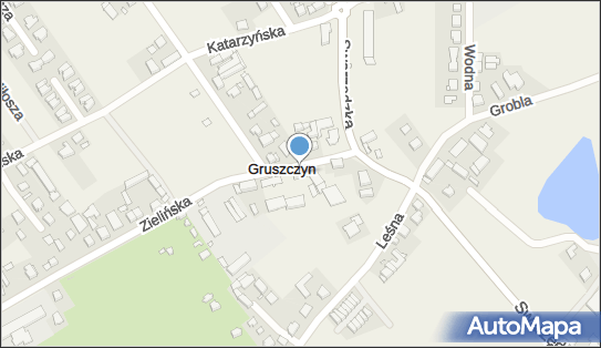 Man Pol, Zielińska 3, Gruszczyn 62-006 - Przedsiębiorstwo, Firma, NIP: 8431437852
