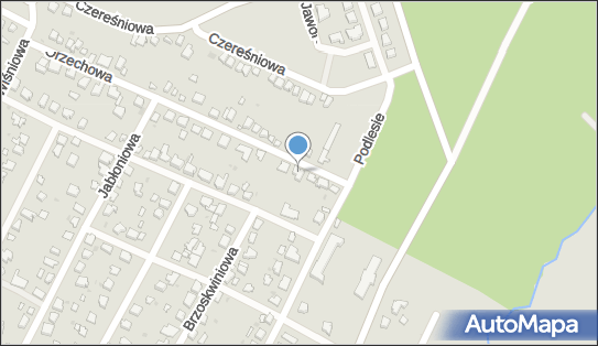 5551813397, Marcin Brűggemann 