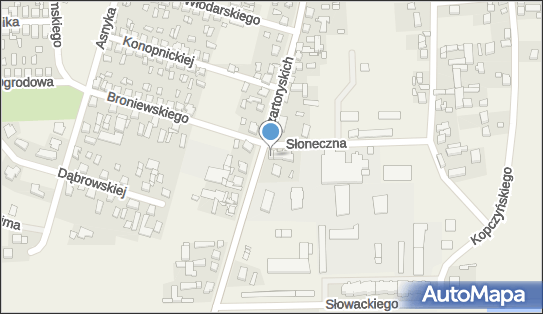 Marcin Bródka - Działalność Gospodarcza, Słoneczna 2, Gołuchów 63-322 - Przedsiębiorstwo, Firma, numer telefonu, NIP: 9680301508