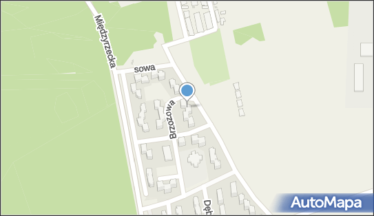 6381752006, Marcin Olszewski 