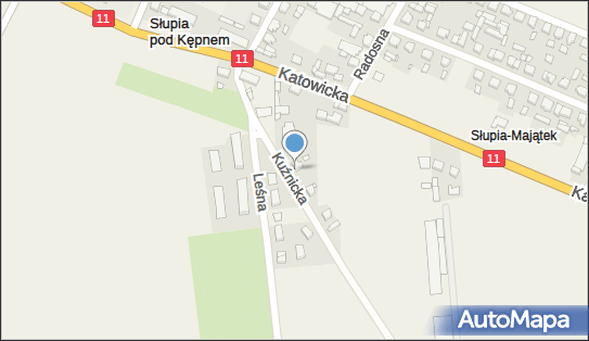 Marek Dąbrowski, ul. Kuźnicka 1, Słupia pod Kępnem 63-604 - Przedsiębiorstwo, Firma, NIP: 6191063373