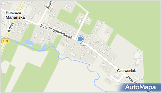 Marek Michalski Aga - Szyk Ogólne Usługi, Puszcza Mariańska 96-330 - Przedsiębiorstwo, Firma, NIP: 8361120994