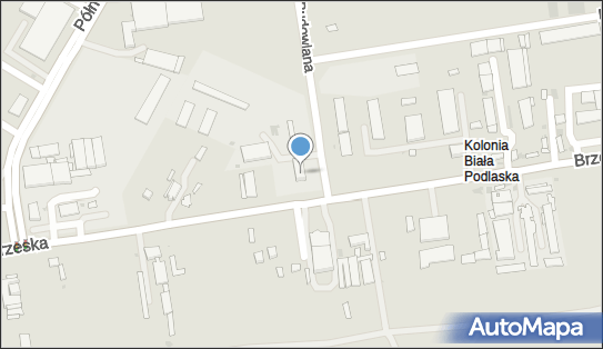 Marek Olesiejuk Wiktor, ul. Brzeska 134, Biała Podlaska 21-500 - Przedsiębiorstwo, Firma, NIP: 5371074834