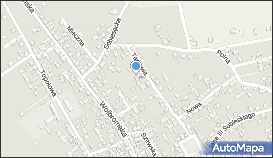 6771205039, Marek Opalski 