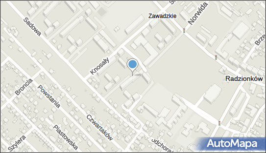 6261008110, Maria Olkowicz 