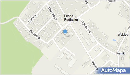 Marian Tomkowicz, Bialska 27A, Leśna Podlaska 21-542 - Przedsiębiorstwo, Firma, NIP: 5371171661