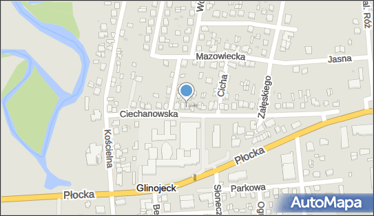 Marian Wardowski Przedsiębiorstwo Produkcyjno-Handlowe, Glinojeck 06-450 - Przedsiębiorstwo, Firma, NIP: 5660013939
