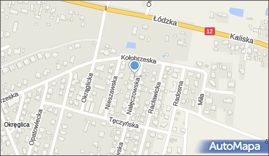 Marian Woźniak Zabawkarstwo Import-Eksport, Nałęczowska 3 62-800 - Przedsiębiorstwo, Firma, NIP: 6180002333