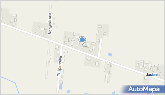 Marimpex, Pichlice 39, Pichlice 98-420 - Przedsiębiorstwo, Firma, NIP: 6911743861