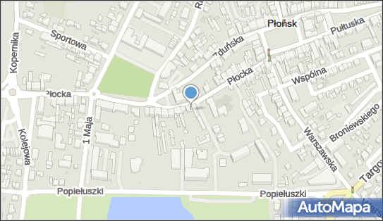 Mariusz Górecki, ul. Płocka 19E, Płońsk 09-100 - Przedsiębiorstwo, Firma, NIP: 5671259704