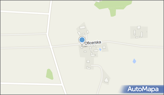 Mariusz Guzik, Budy Zosine 100A, Budy Zosine 96-313 - Przedsiębiorstwo, Firma, NIP: 8381581971